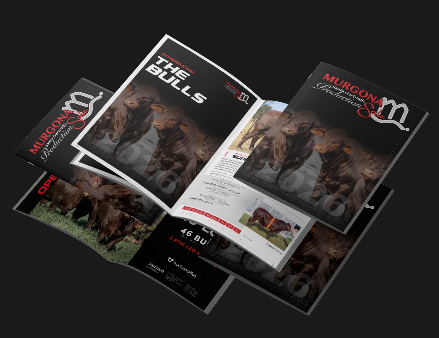 Murgona 2026 Magazine