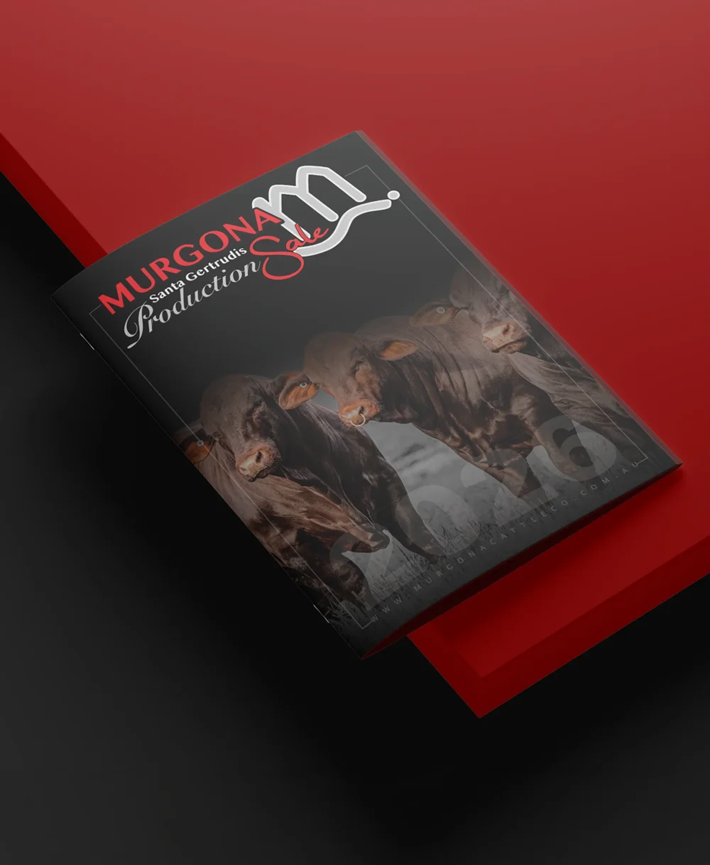 Print Design Preview