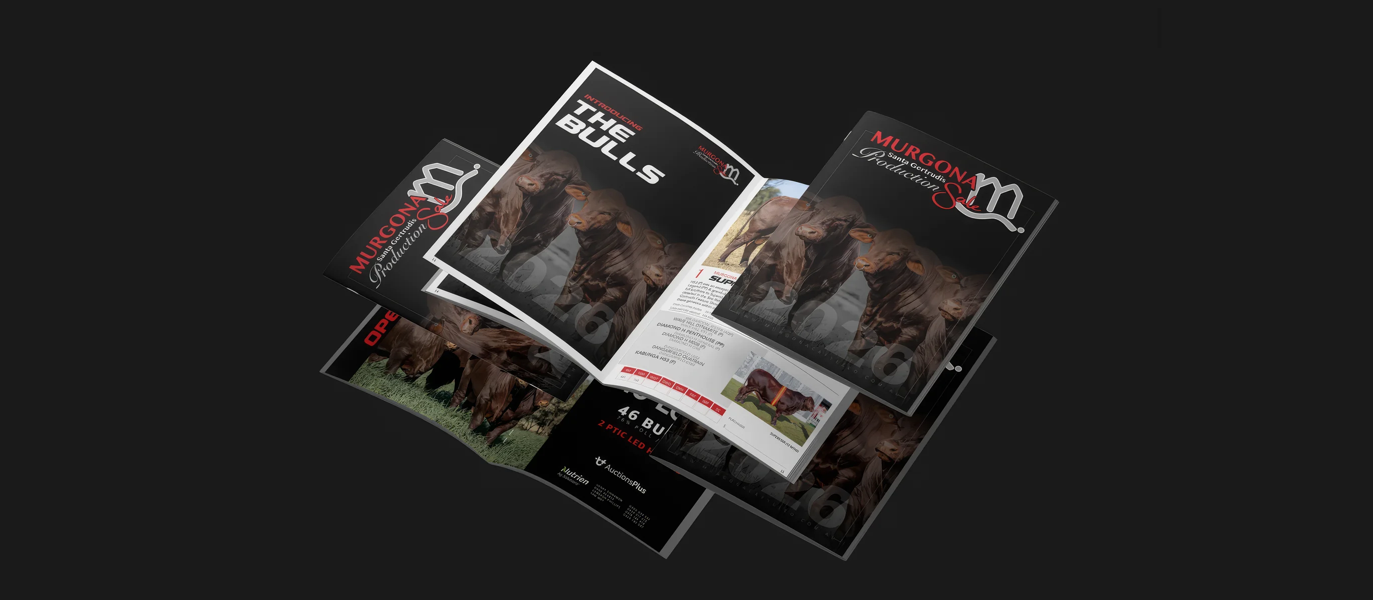 Murgona Catalogue 2026 Project Preview